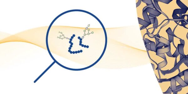 glycopeptide enrichment 6 1 3 1.jpeg