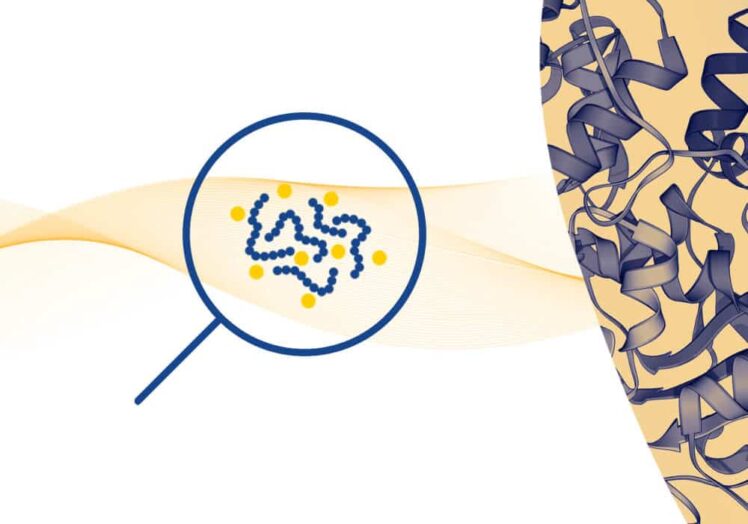 magnetic beads removal 4 1 3 1.jpeg