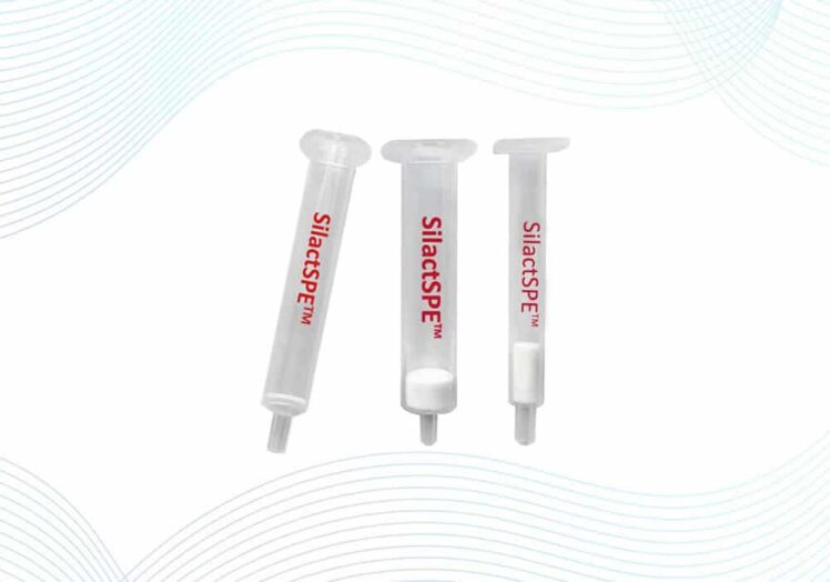 silica spe 55 1 3 1.jpeg